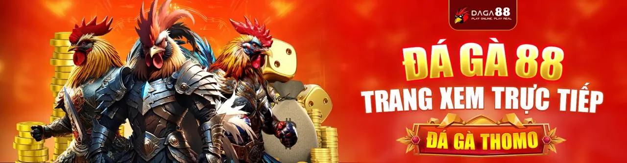Sân đấu đá gà trực tuyến kịch tính trên df999top
